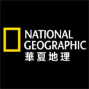 離譜！37歲金哨1個月2次失誤 漏判國安點球遭降級 執法中甲又犯錯