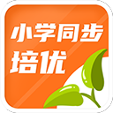 詭異！廣廈隊(duì)為何兵敗如倒？王博居然這樣說，球迷：留力戰(zhàn)廣東？
