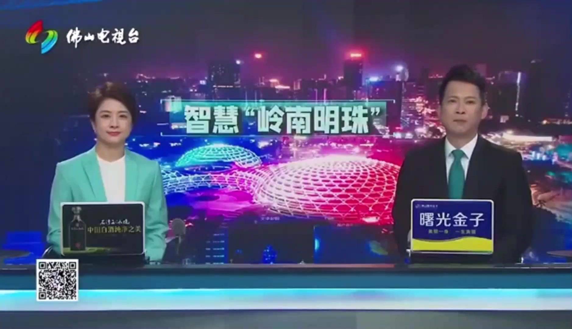 嶺南明珠案例（封面）.mp4