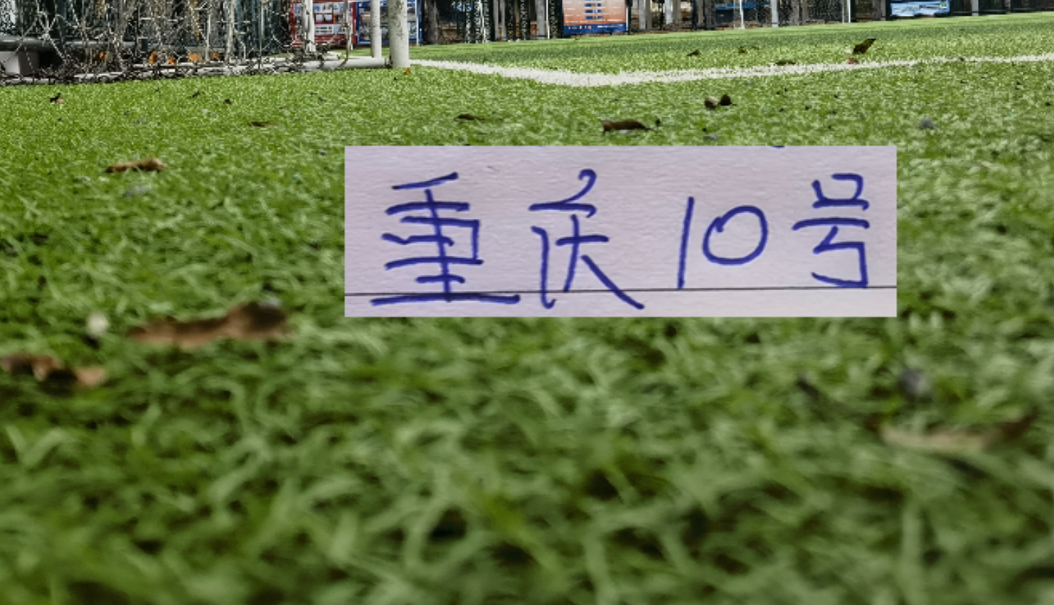 少見！重慶10號(hào)阿馬杜 跟申花10號(hào)特謝拉一起入選第8輪MVP候選