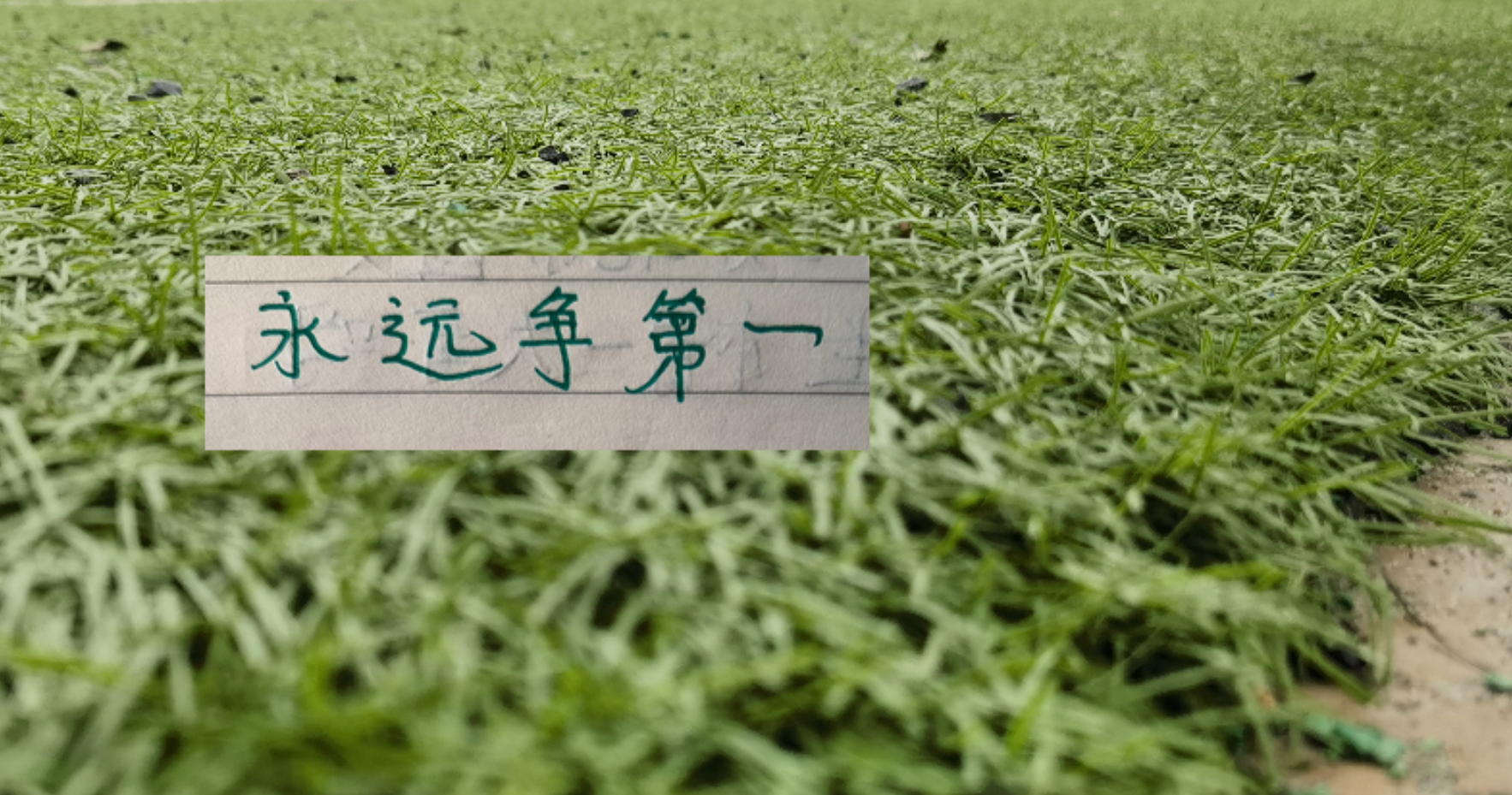 沒料到！今年北京國安最能跑的球員是塞鳥 5月球隊逆襲 還得靠他